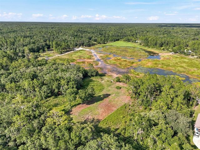 100 BERRYHILL DRIVE, Webster, FL 33597