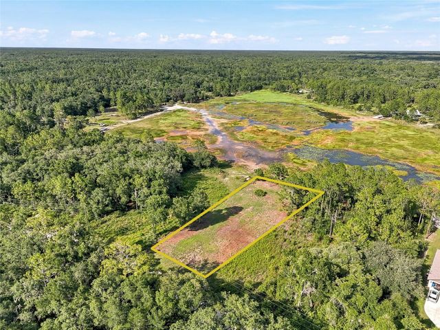 100 BERRYHILL DRIVE, Webster, FL 33597