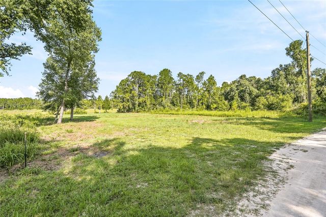100 BERRYHILL DRIVE, Webster, FL 33597