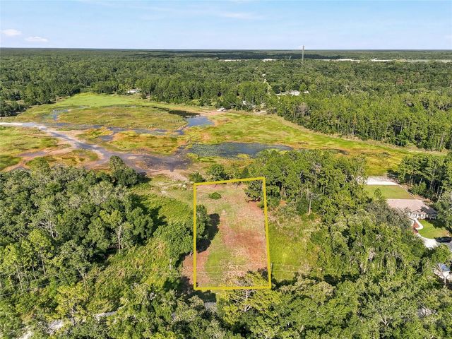 100 BERRYHILL DRIVE, Webster, FL 33597