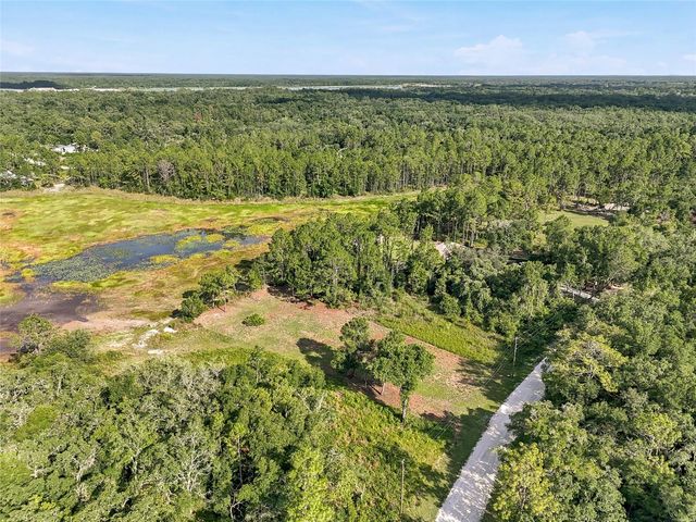 100 BERRYHILL DRIVE, Webster, FL 33597