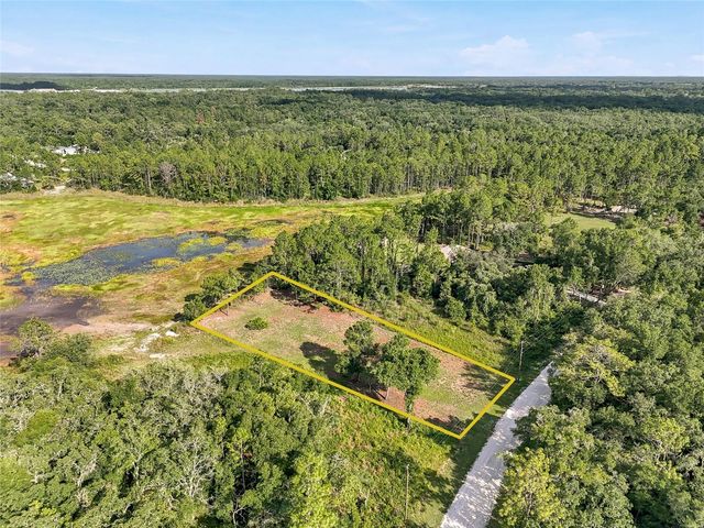 100 BERRYHILL DRIVE, Webster, FL 33597