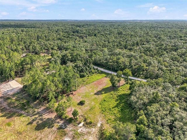 100 BERRYHILL DRIVE, Webster, FL 33597