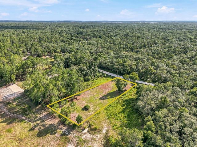 100 BERRYHILL DRIVE, Webster, FL 33597