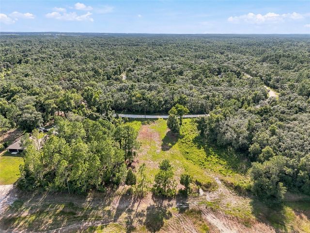 100 BERRYHILL DRIVE, Webster, FL 33597