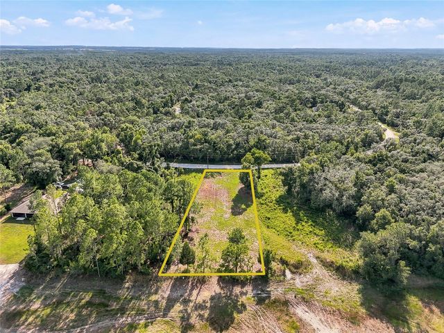 100 BERRYHILL DRIVE, Webster, FL 33597