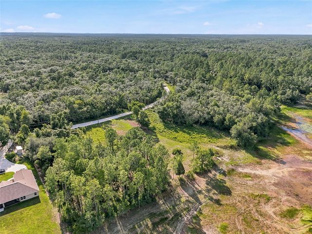 100 BERRYHILL DRIVE, Webster, FL 33597