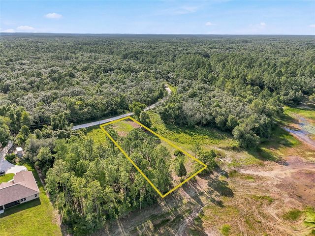 100 BERRYHILL DRIVE, Webster, FL 33597