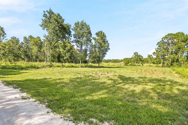 100 BERRYHILL DRIVE, Webster, FL 33597