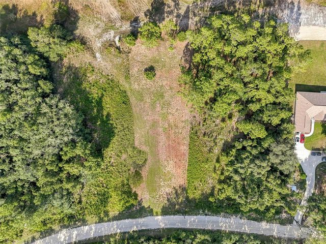 100 BERRYHILL DRIVE, Webster, FL 33597