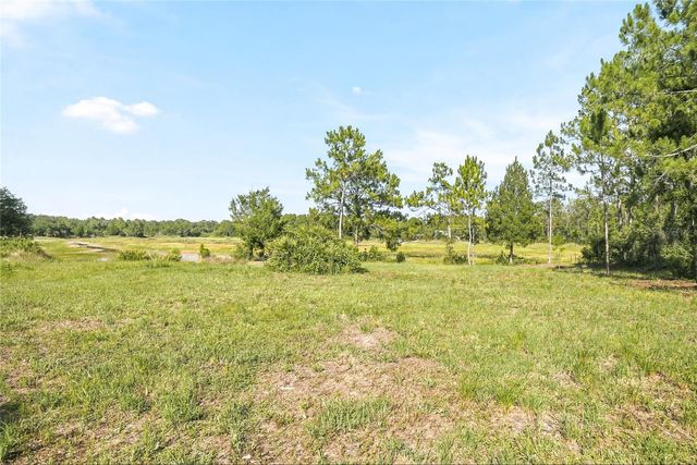 100 BERRYHILL DRIVE, Webster, FL 33597