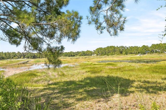 100 BERRYHILL DRIVE, Webster, FL 33597