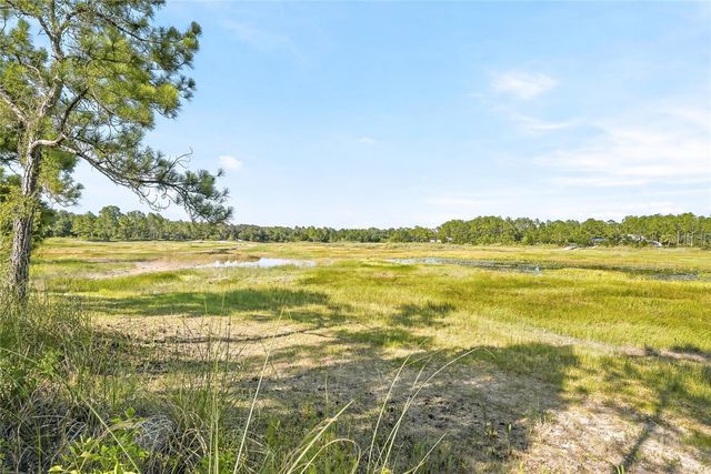 100 BERRYHILL DRIVE, Webster, FL 33597