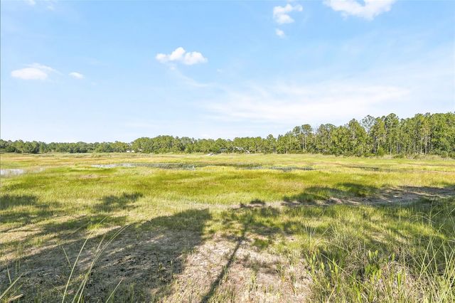 100 BERRYHILL DRIVE, Webster, FL 33597