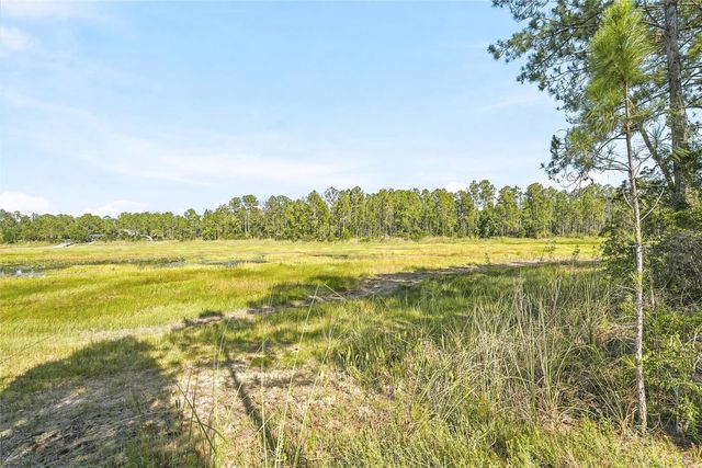 100 BERRYHILL DRIVE, Webster, FL 33597