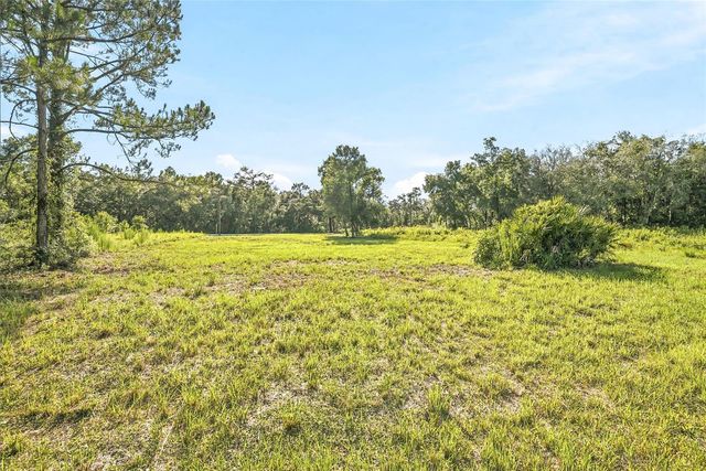 100 BERRYHILL DRIVE, Webster, FL 33597