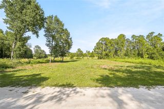 100 BERRYHILL DRIVE, Webster, FL 33597