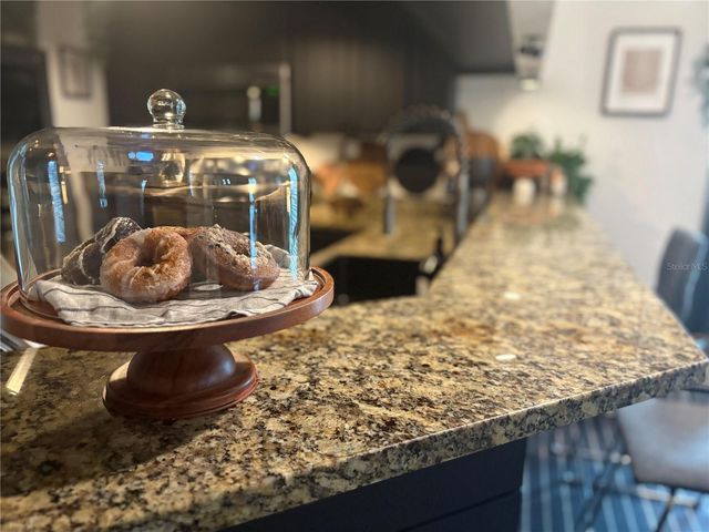 7312 S OBRIEN STREET, Tampa, FL 33616