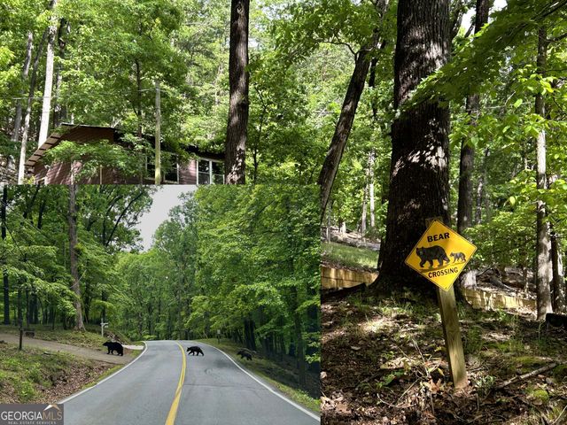 147 LAUREL MILL Trail, Jasper, GA 30143