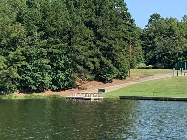 121 Candlelight Cove, Holly Lake Ranch, TX 75765