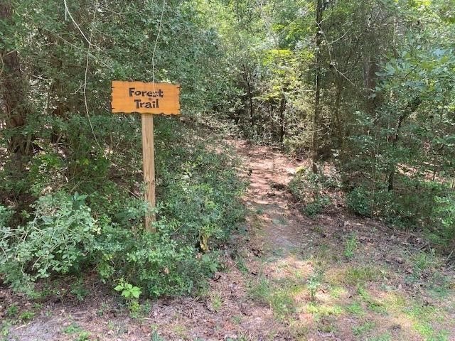 121 Candlelight Cove, Holly Lake Ranch, TX 75765