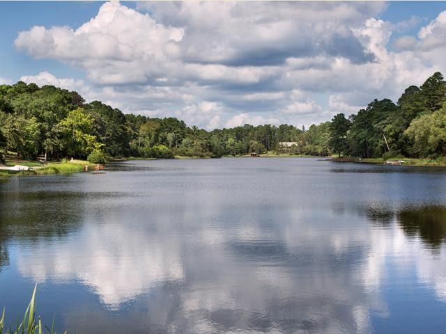 121 Candlelight Cove, Holly Lake Ranch, TX 75765