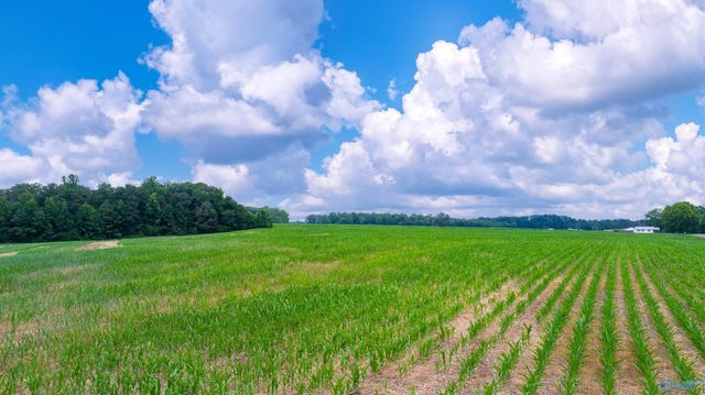 14.1 County Road 62, Section, AL 35771