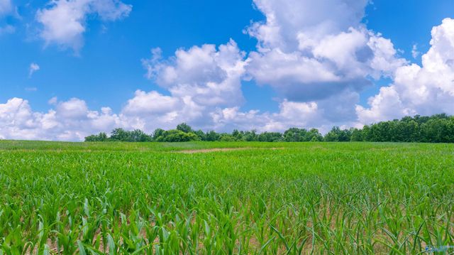 14.1 County Road 62, Section, AL 35771