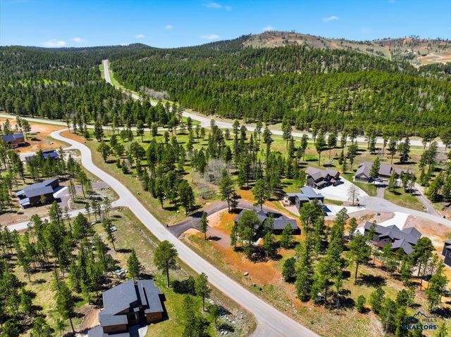 21385 TRAILSIDE RD, Lead, SD 57754