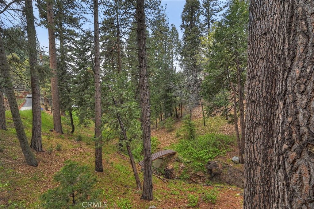 Image 31 of property listing at 2358 Rim Of The World, Running Springs, CA 92382
