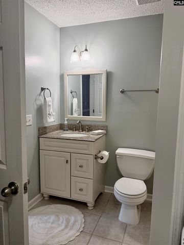 192 Bill Williamson Court, Lexington, SC 29073