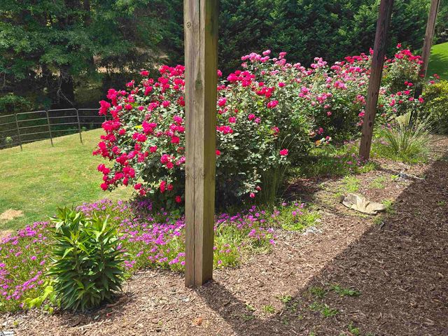 10 Colonel Storrs Court, Greer, SC 29650