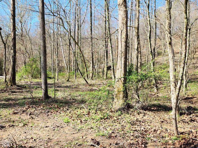 0 Goat Hollow Estates Lot 4, Martinsville, IN 46151