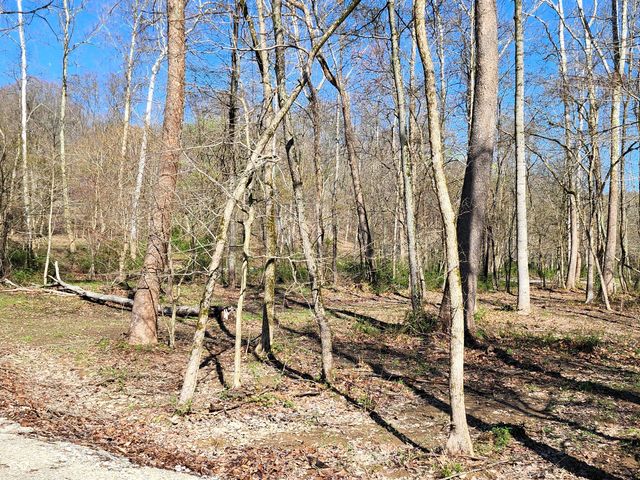 0 Goat Hollow Estates Lot 4, Martinsville, IN 46151