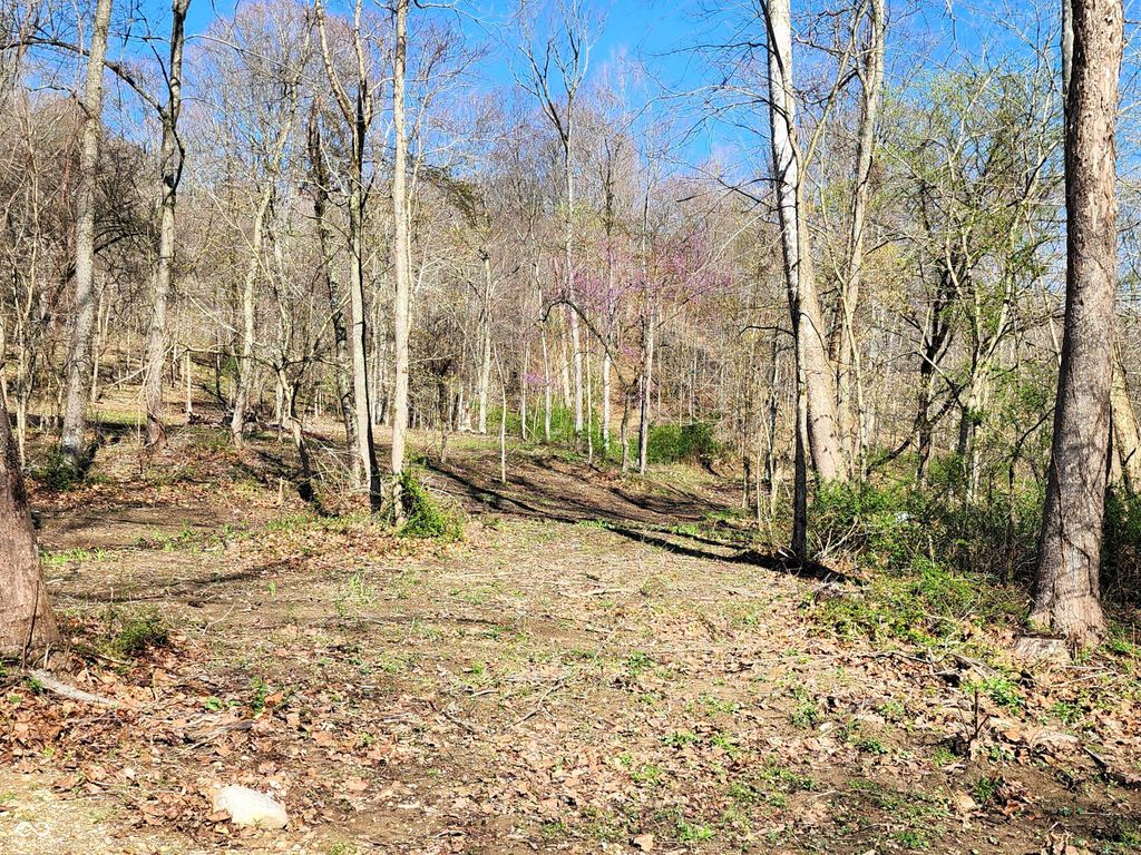 0 Goat Hollow Estates Lot 4, Martinsville, IN 46151
