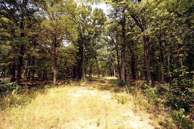 10 County Road 2263, Valley View, TX 76272