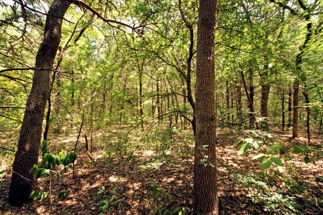 10 County Road 2263, Valley View, TX 76272
