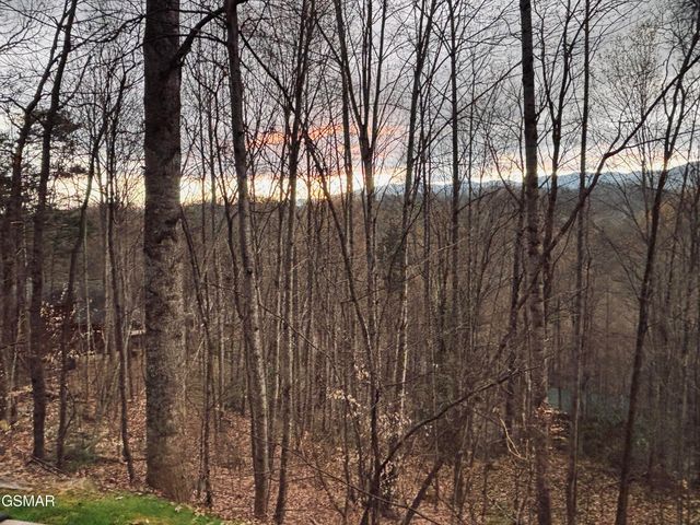 459 Sugar Mountain Way, Pigeon Forge, TN 37863