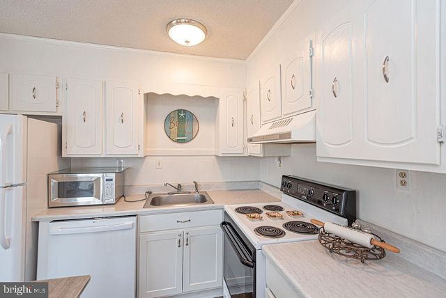 12005 ASSAWOMAN DR, Ocean City, MD 21842