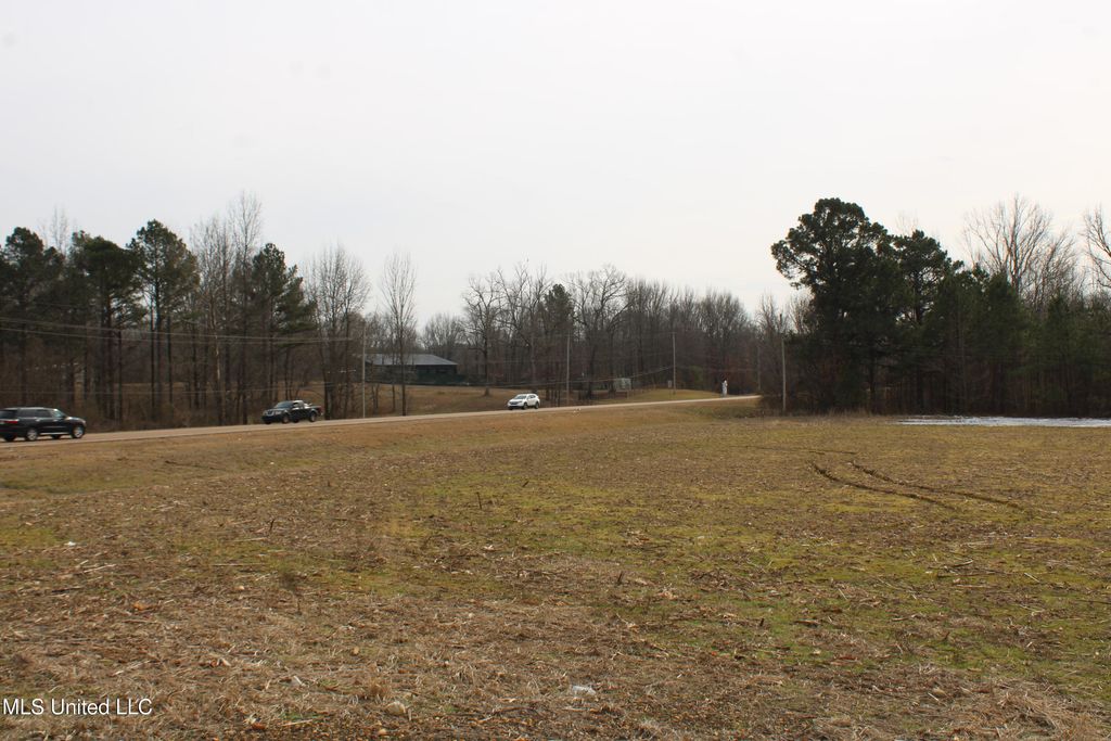 3900 Highway 301, Lake Cormorant, MS 38641 — photo 2