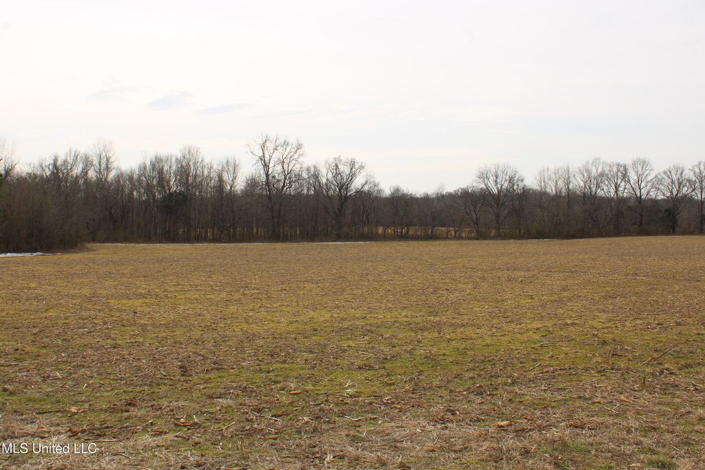 3900 Highway 301, Lake Cormorant, MS 38641 — photo 3