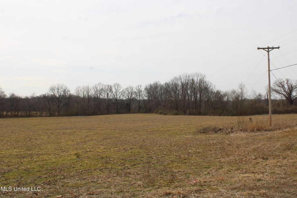 3900 Highway 301, Lake Cormorant, MS 38641 — photo 4