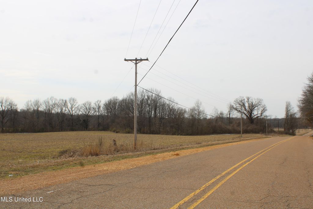 3900 Highway 301, Lake Cormorant, MS 38641 — photo 5