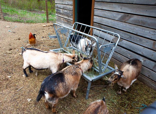 8515 N Argonne Rd, Spokane, WA 99217