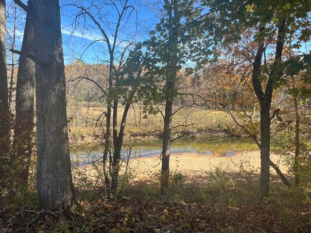 2709 Wagner Road, Willow Springs, MO 65793