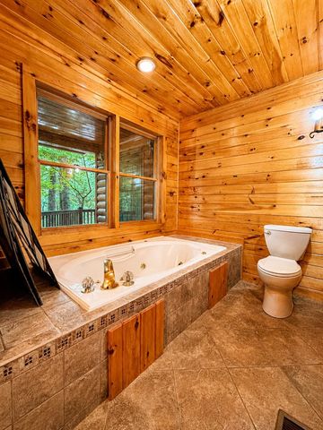 629 My Mountain Road, Morganton, GA 30560