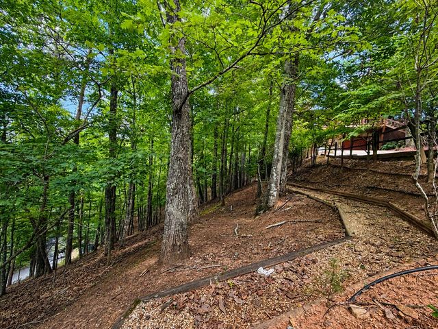 629 My Mountain Road, Morganton, GA 30560