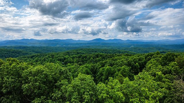 629 My Mountain Road, Morganton, GA 30560