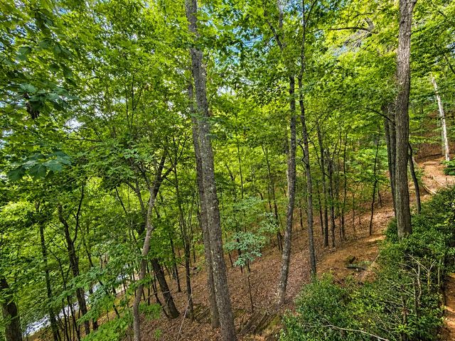 629 My Mountain Road, Morganton, GA 30560