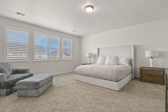 3055 Blithe Point, Castle Rock, CO 80108